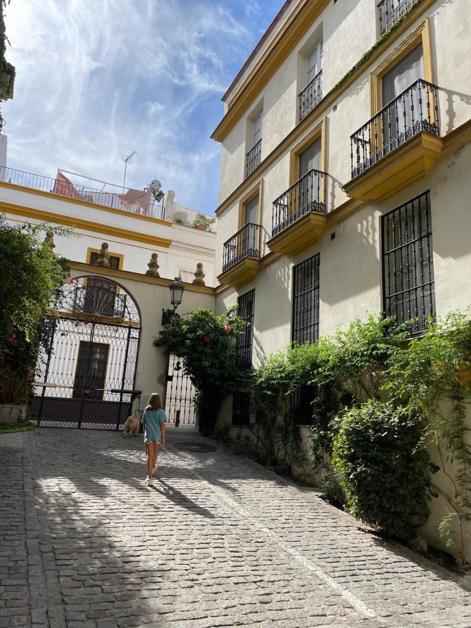 Sevilla Centro-Casco Antiguo -Vidrio 36 Экстерьер фото